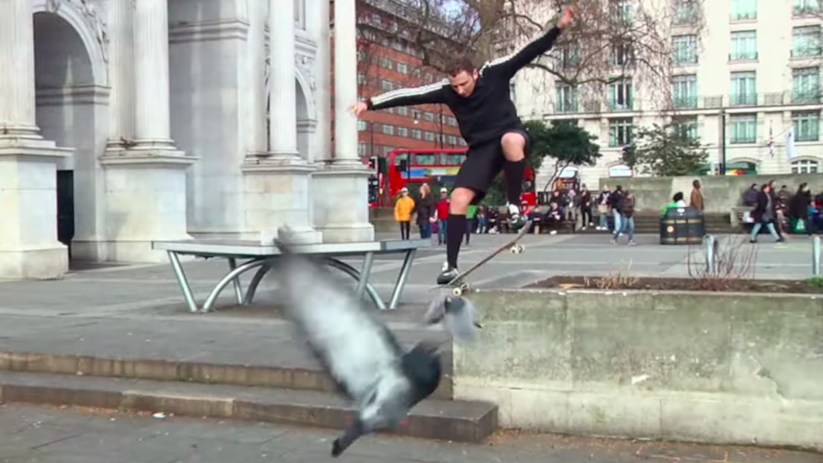 Blondey McCoy recorre con buen gusto las calles de Londres en ‘Pigeon-Clever’